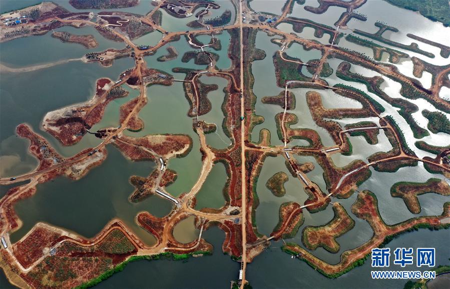 (環(huán)境)(3)海口江東新區(qū)生態(tài)修復(fù)